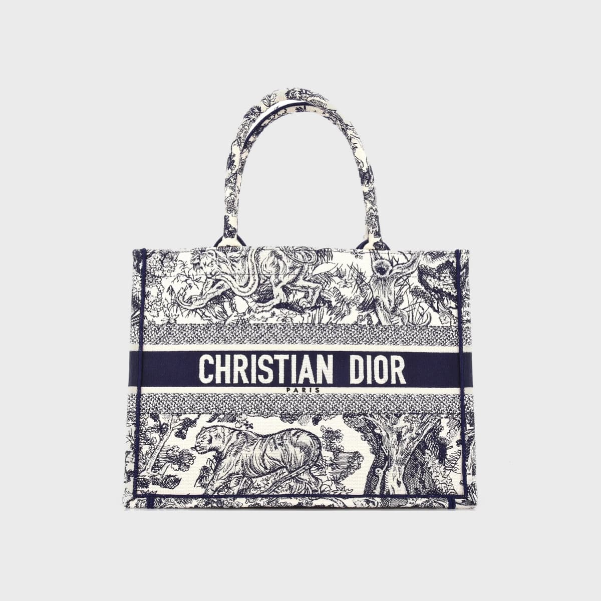 Christian Dior Book Tote