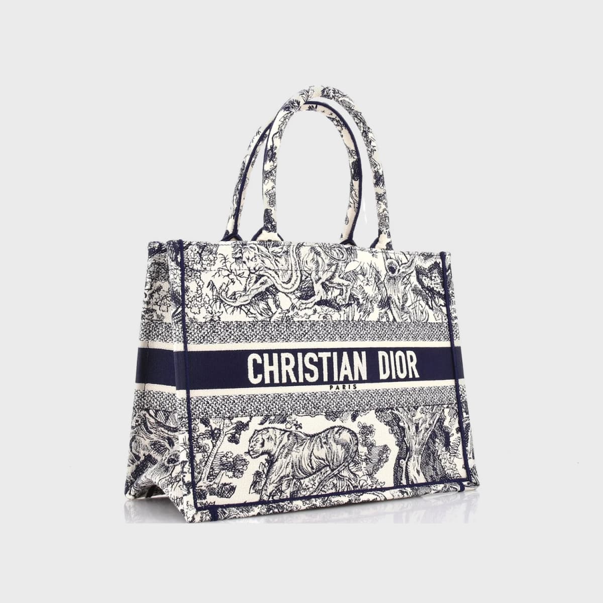 Christian Dior Book Tote