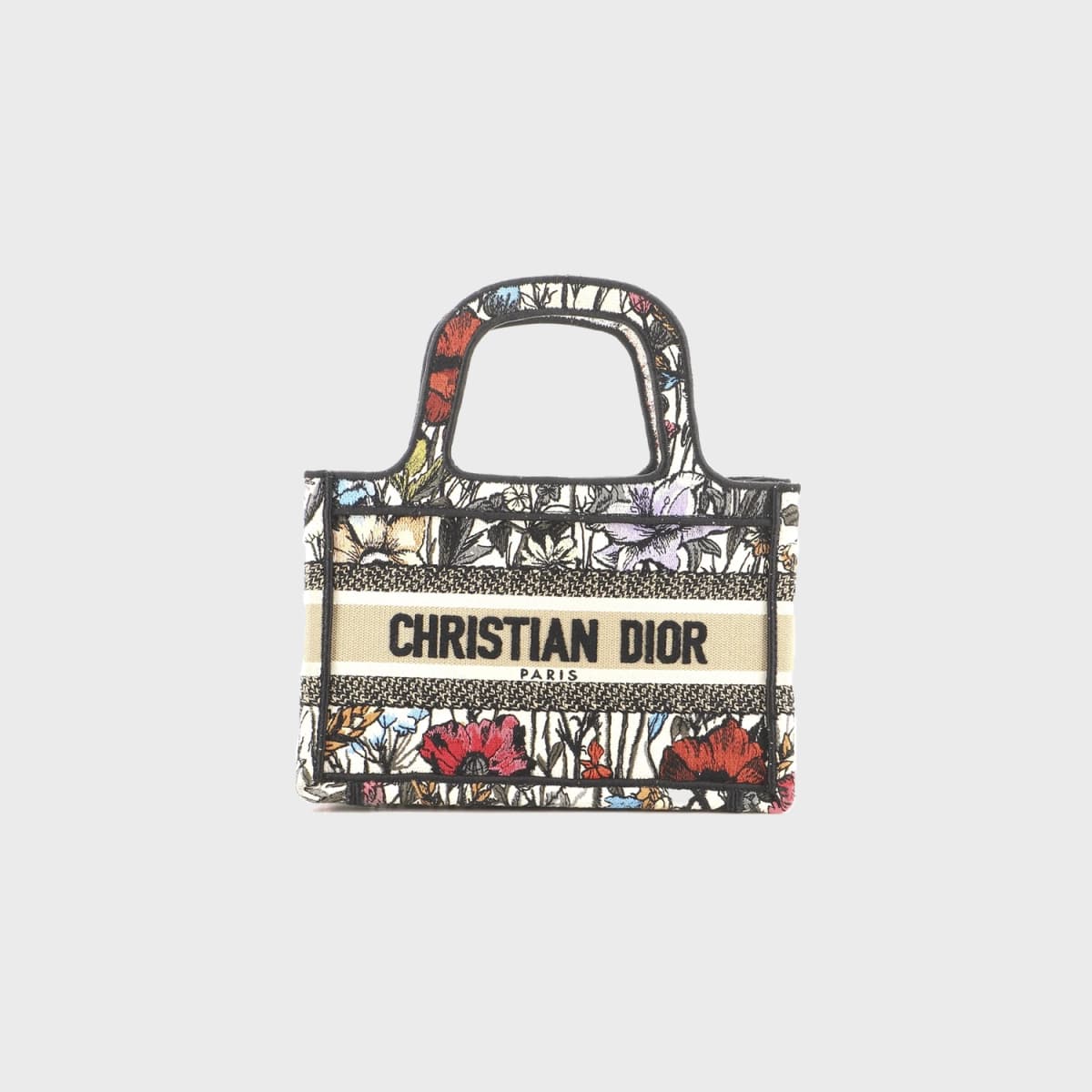 Christian Dior Book Tote