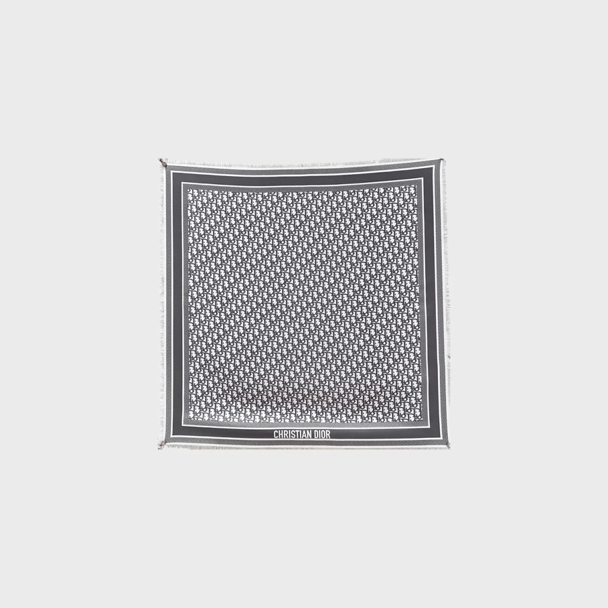 Christian Dior Scarf