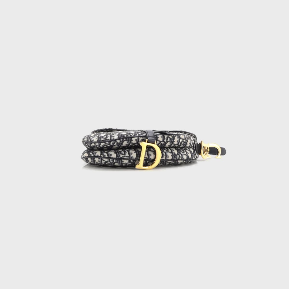 Christian Dior Saddle