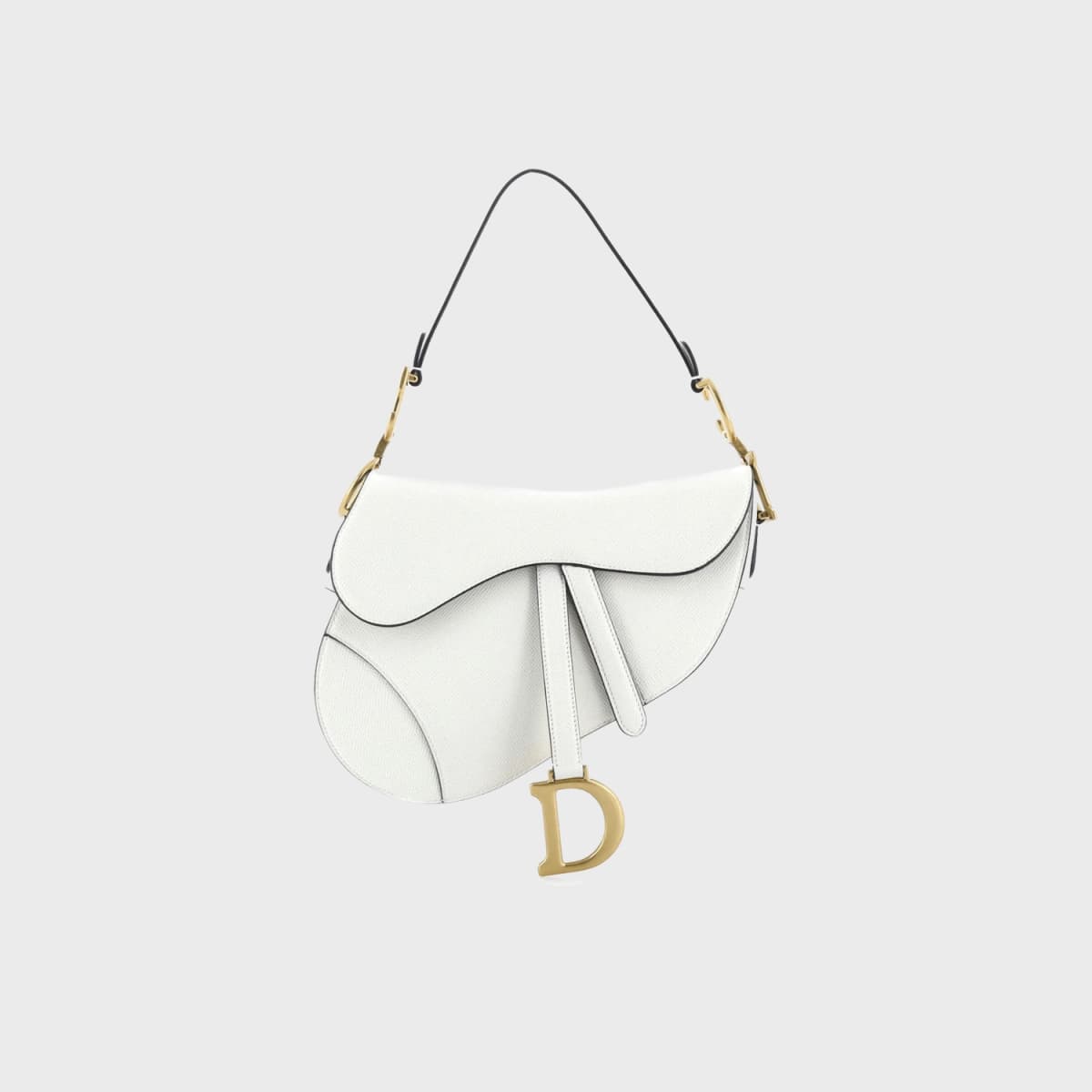 Christian Dior Saddle