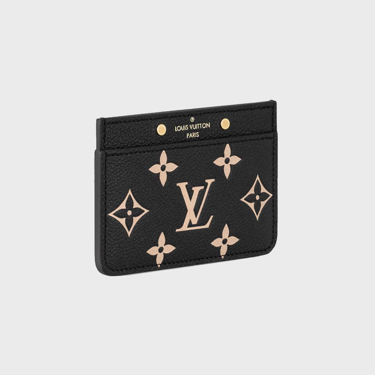 Louis Vuitton Bicolor Monogram Empreinte