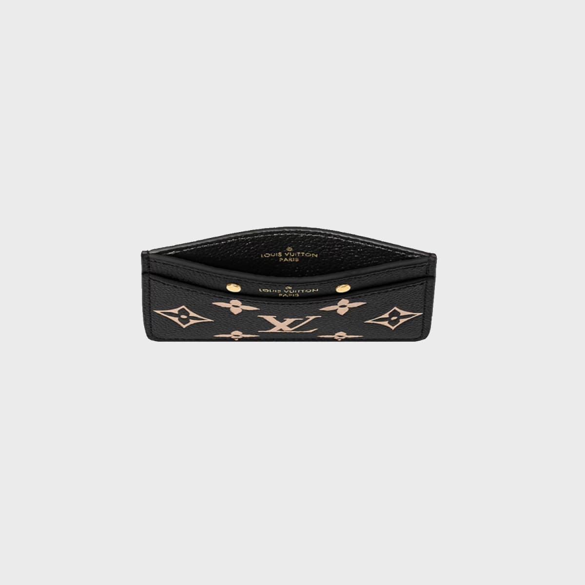 Louis Vuitton Bicolor Monogram Empreinte