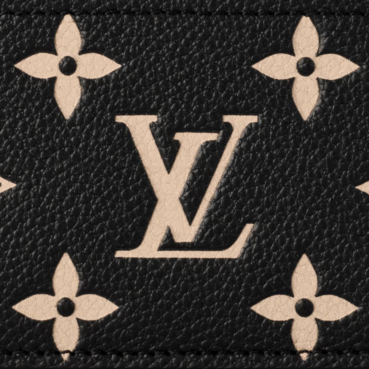 Louis Vuitton Bicolor Monogram Empreinte