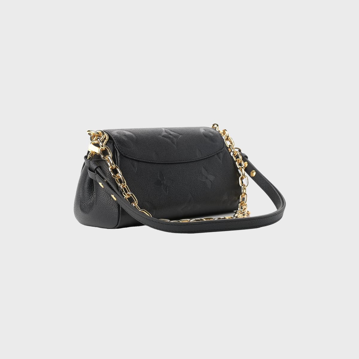Louis Vuitton Favorite