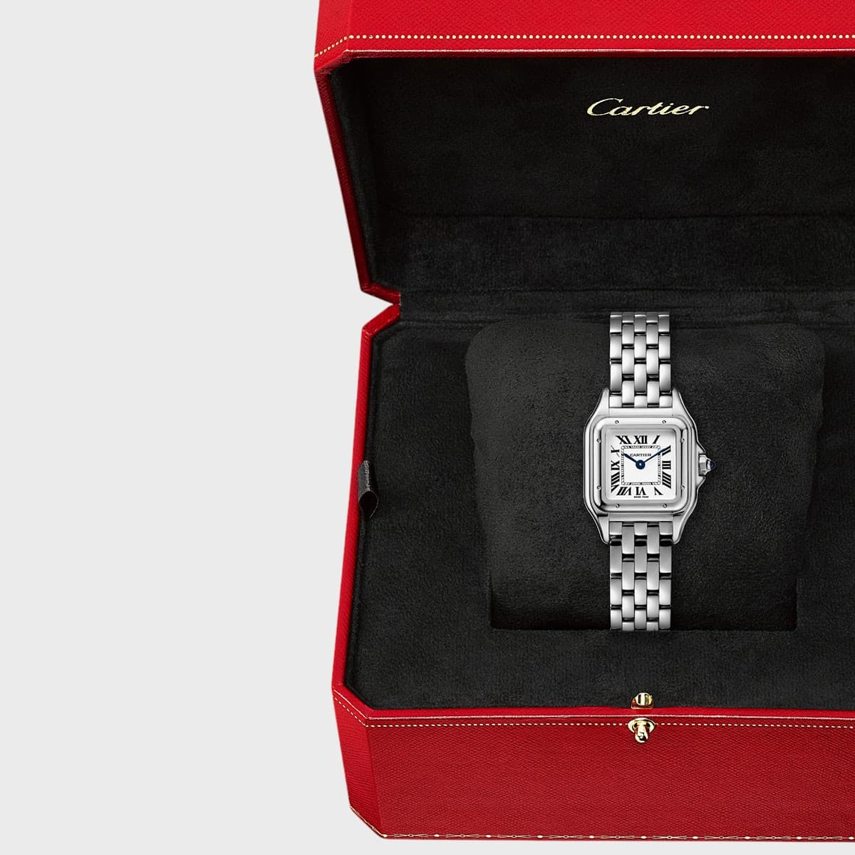 Cartier Panthere