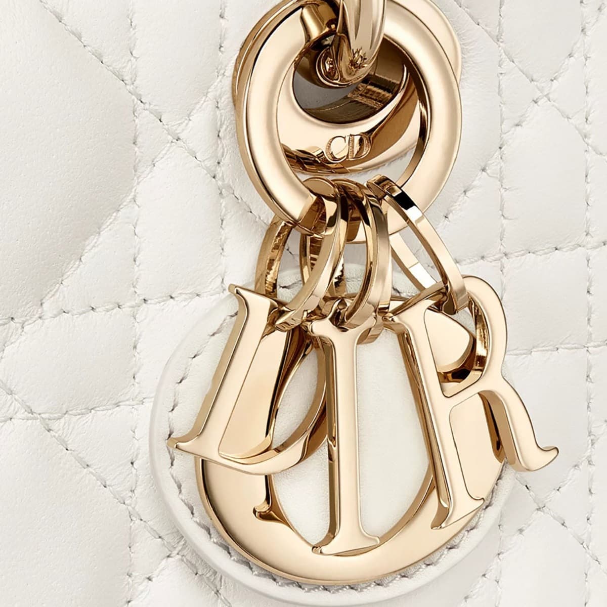 Christian Dior Lady D-Joy Micro