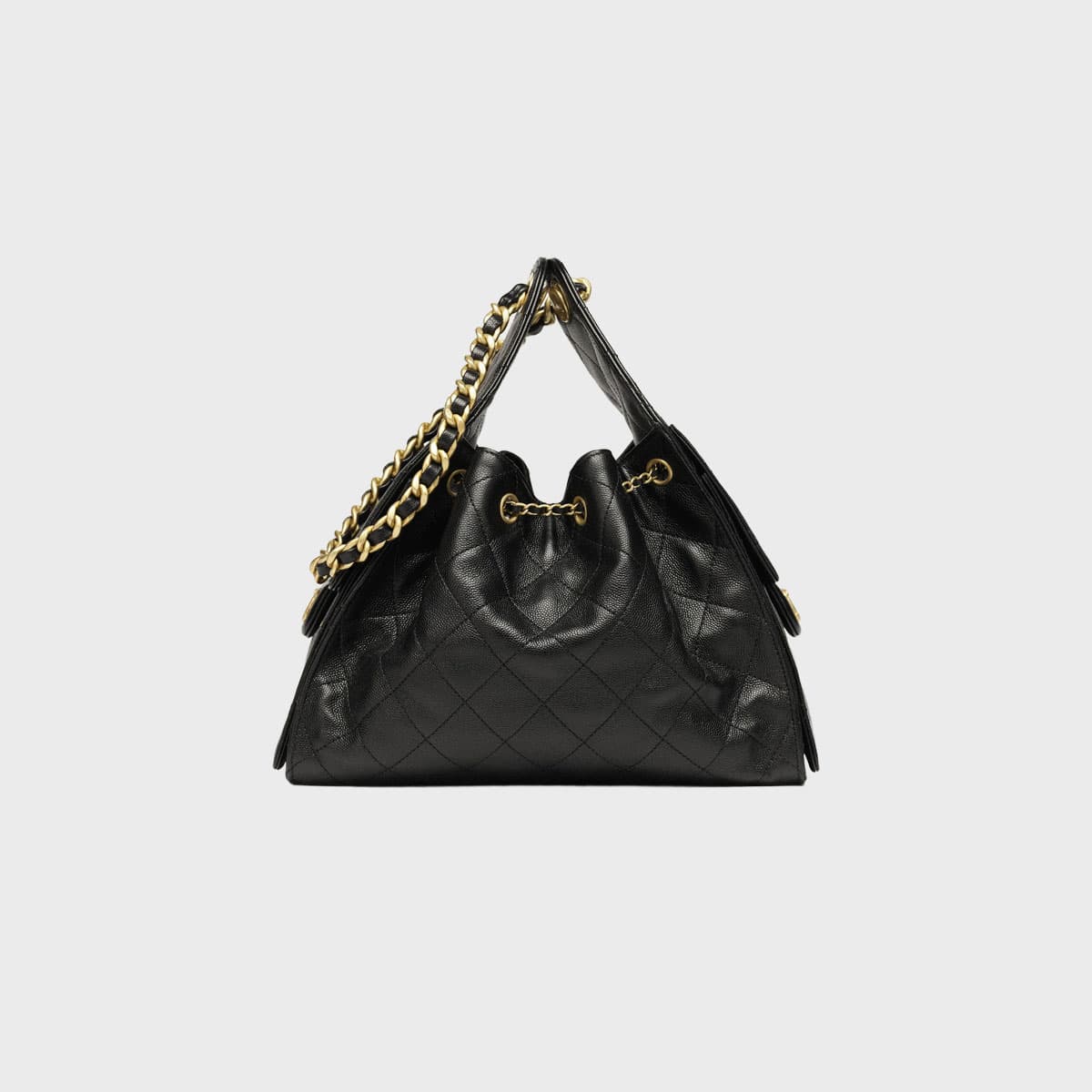 Chanel Chanel 25 Small Handbag