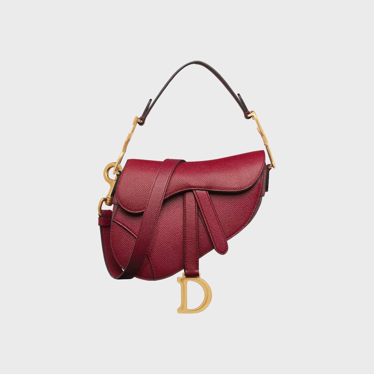 Christian Dior Saddle