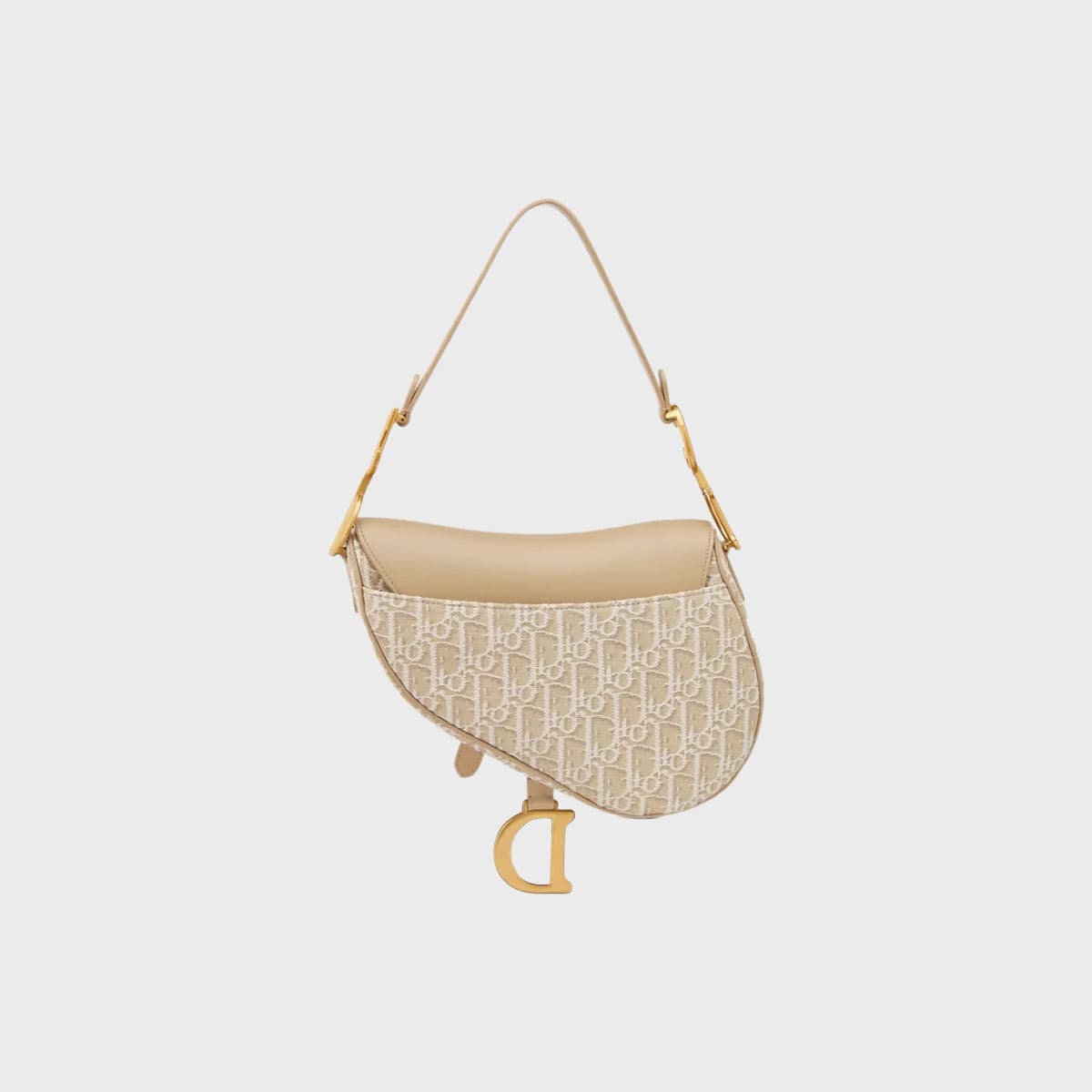 Christian Dior Saddle