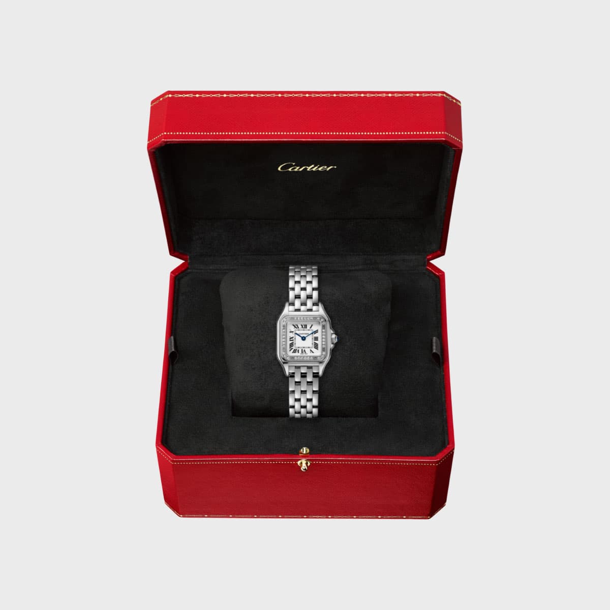Cartier Panthere
