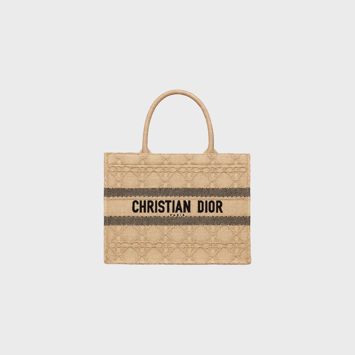 Christian Dior Book Tote