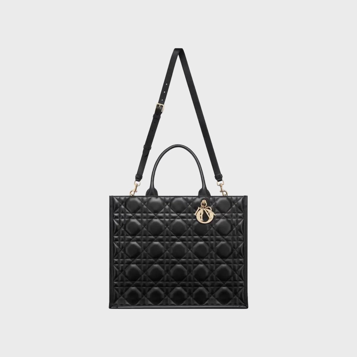 Christian Dior Book Tote