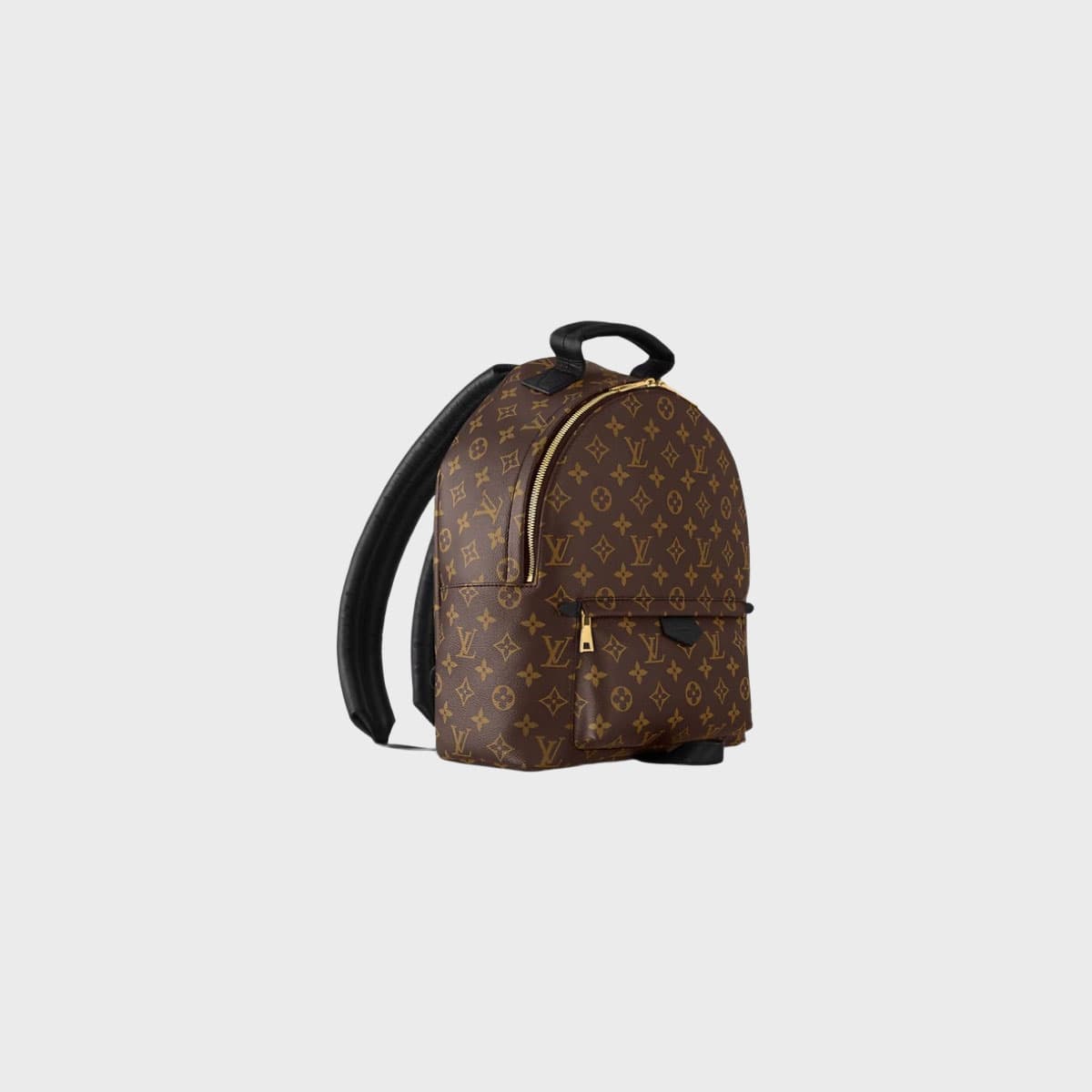 Louis Vuitton Palm Springs