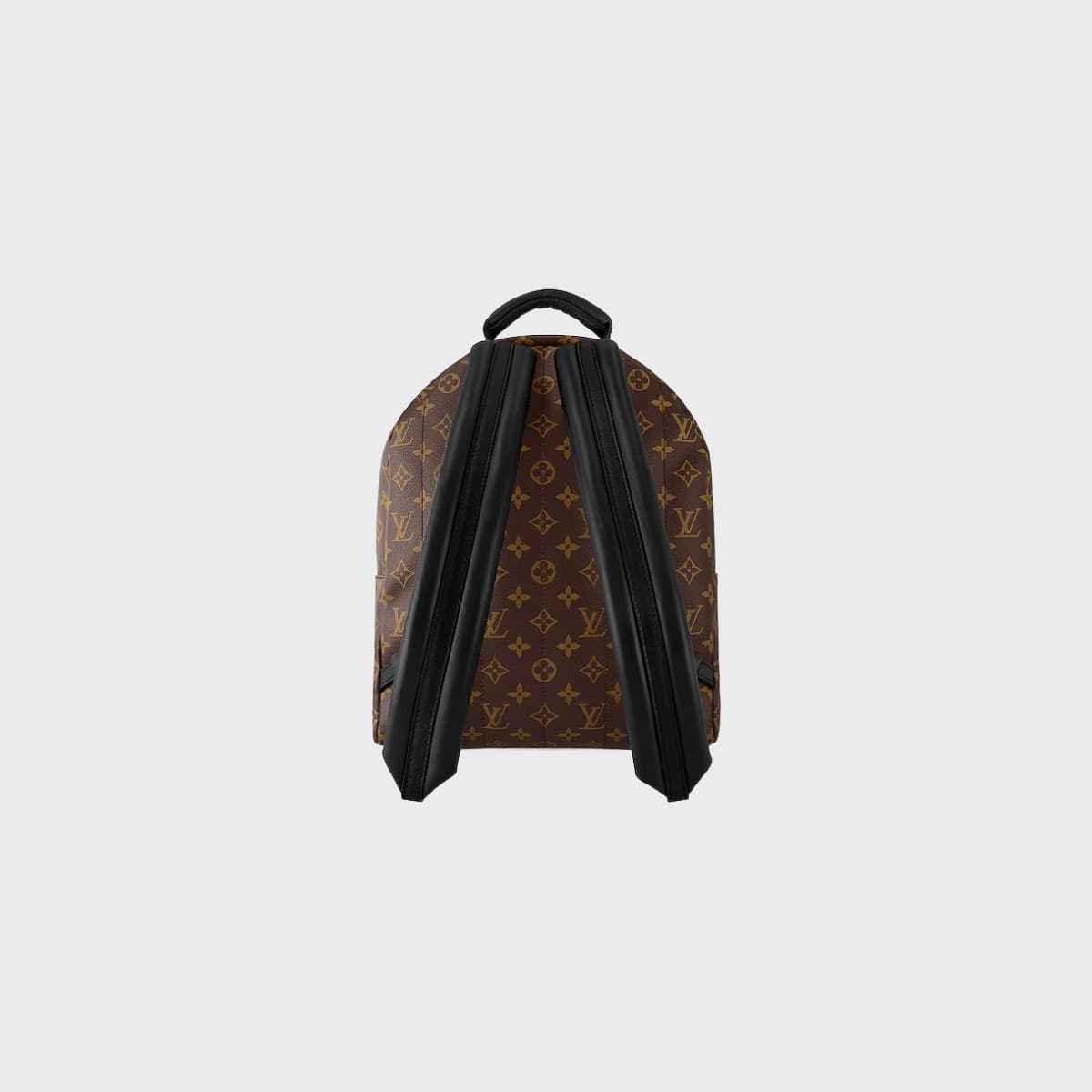 Louis Vuitton Palm Springs