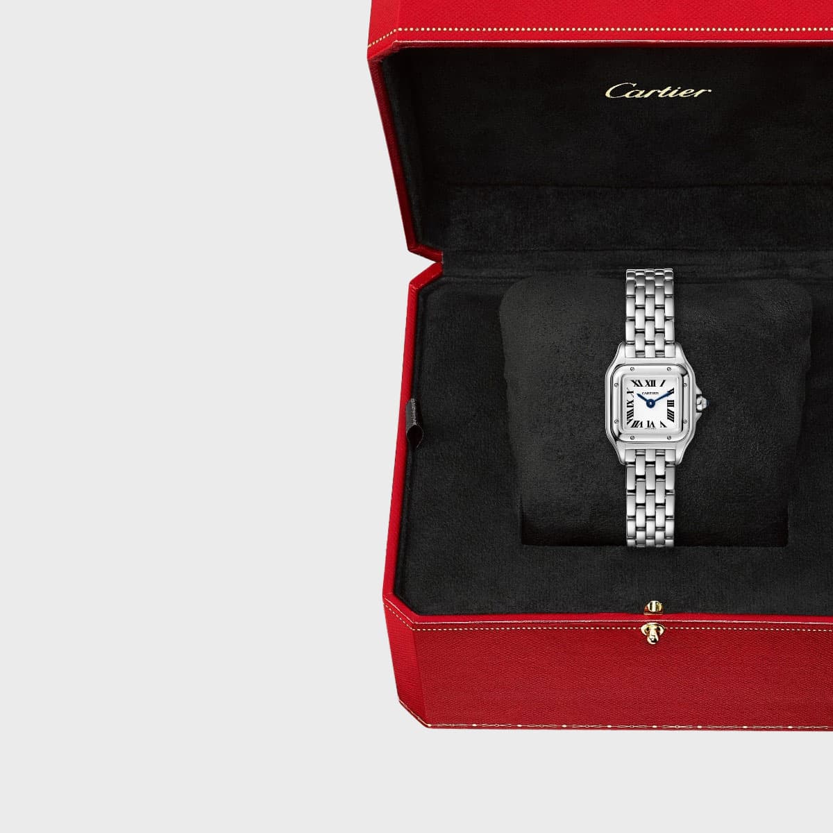 Cartier Panthere