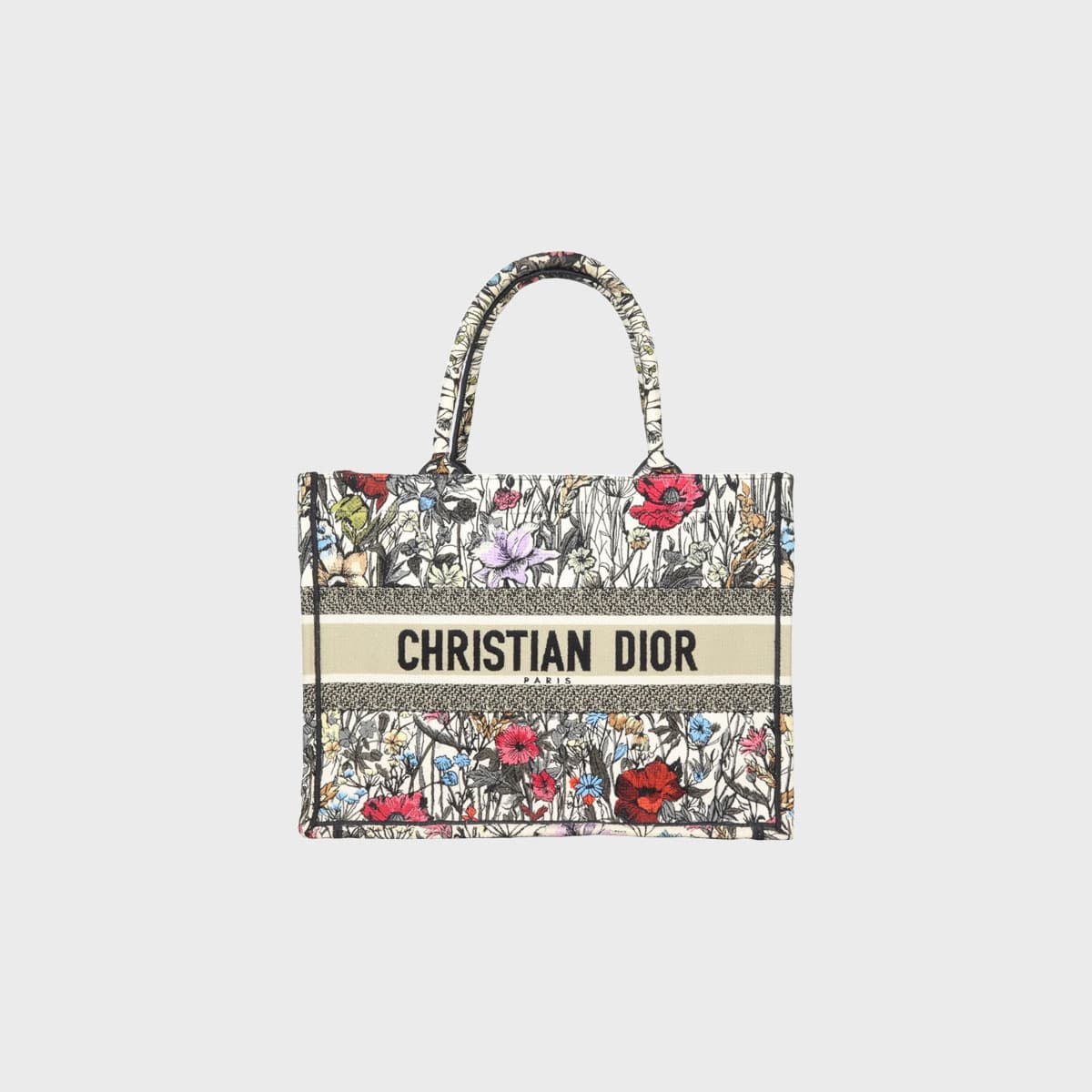 Christian Dior Book Tote