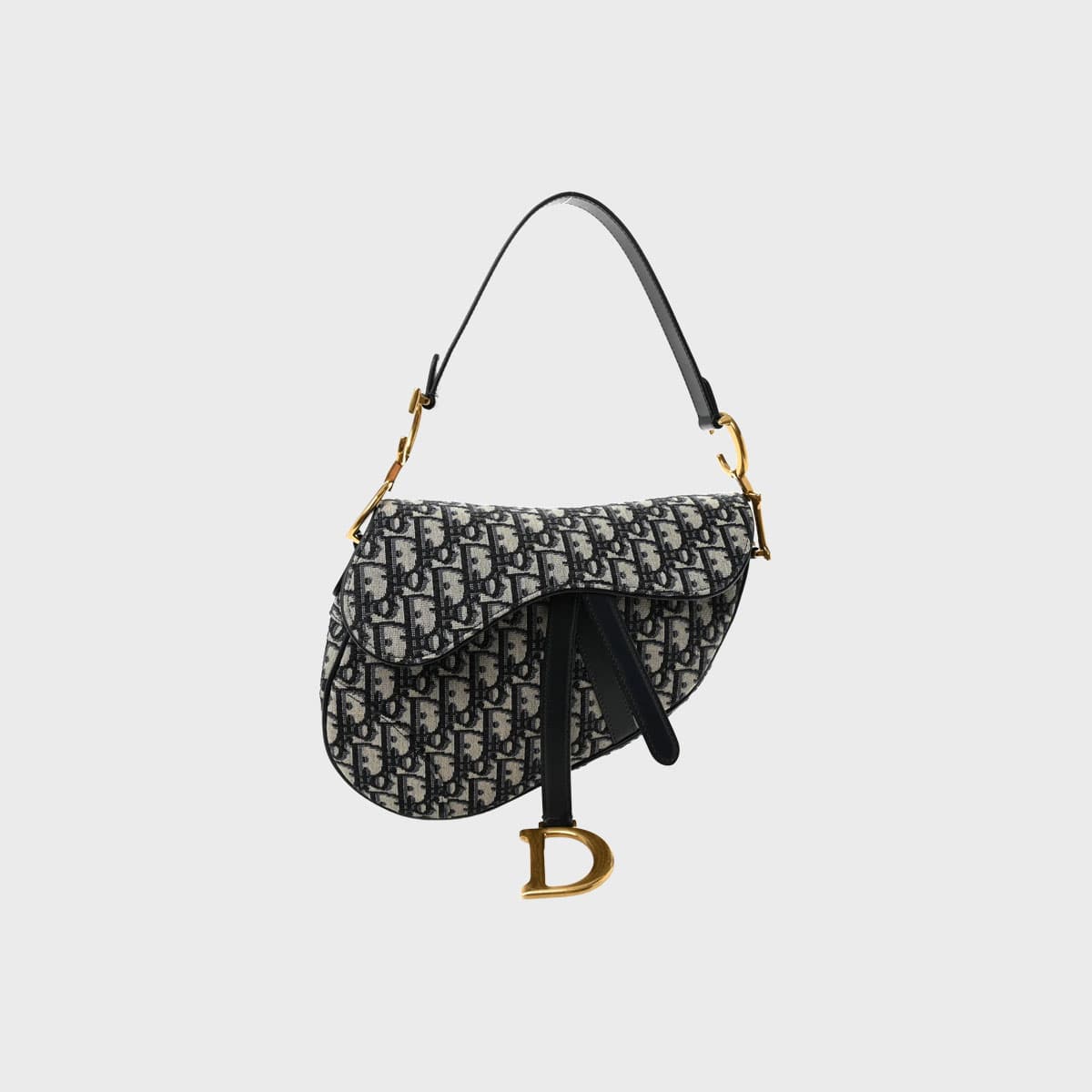 Christian Dior Saddle