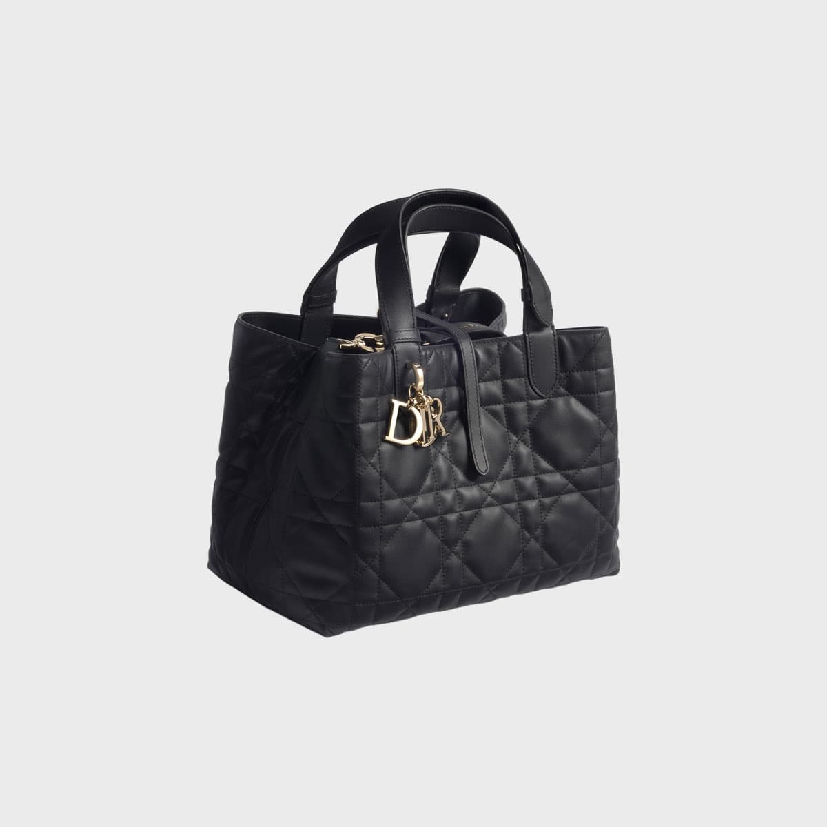 Christian Dior Toujours