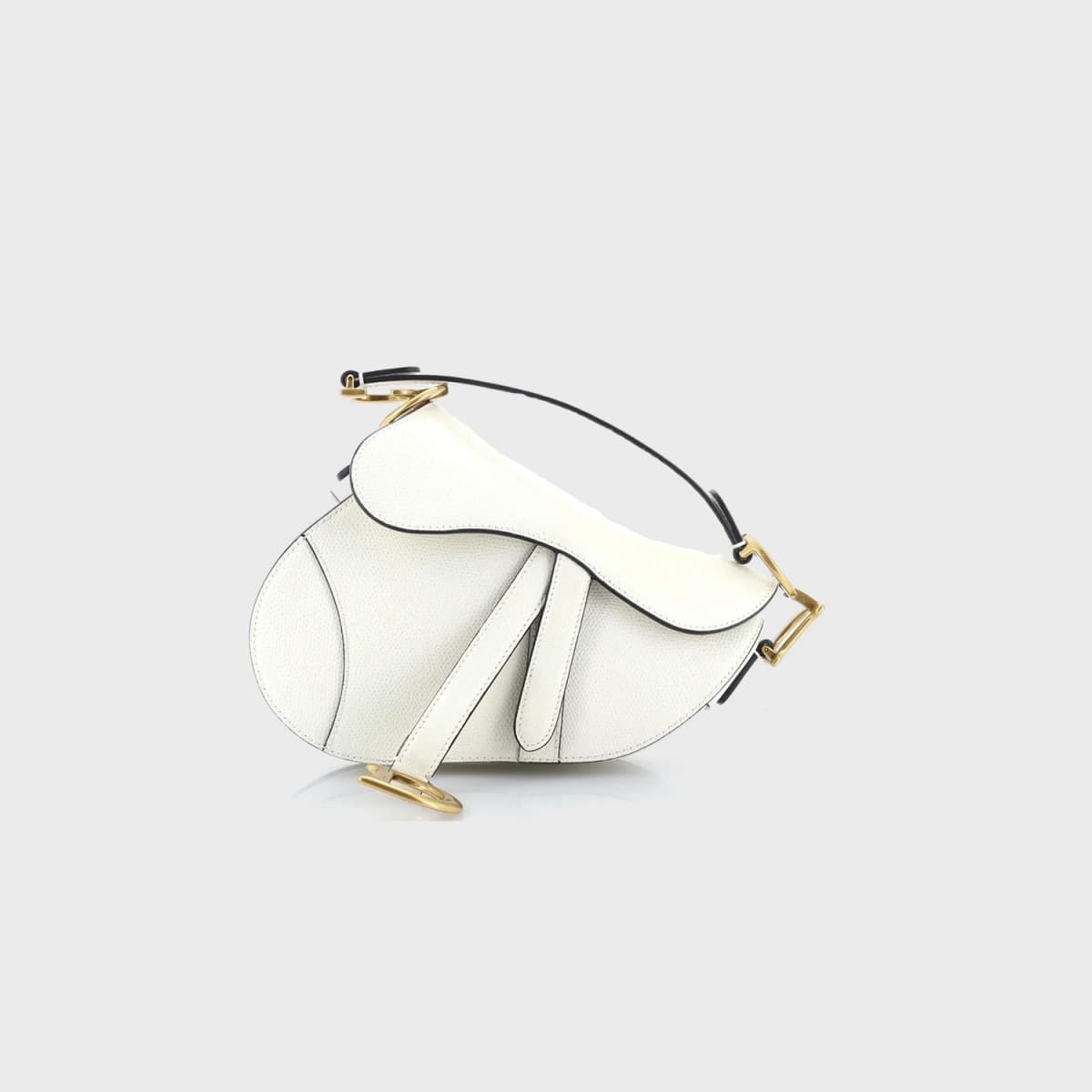 Christian Dior Saddle Mini