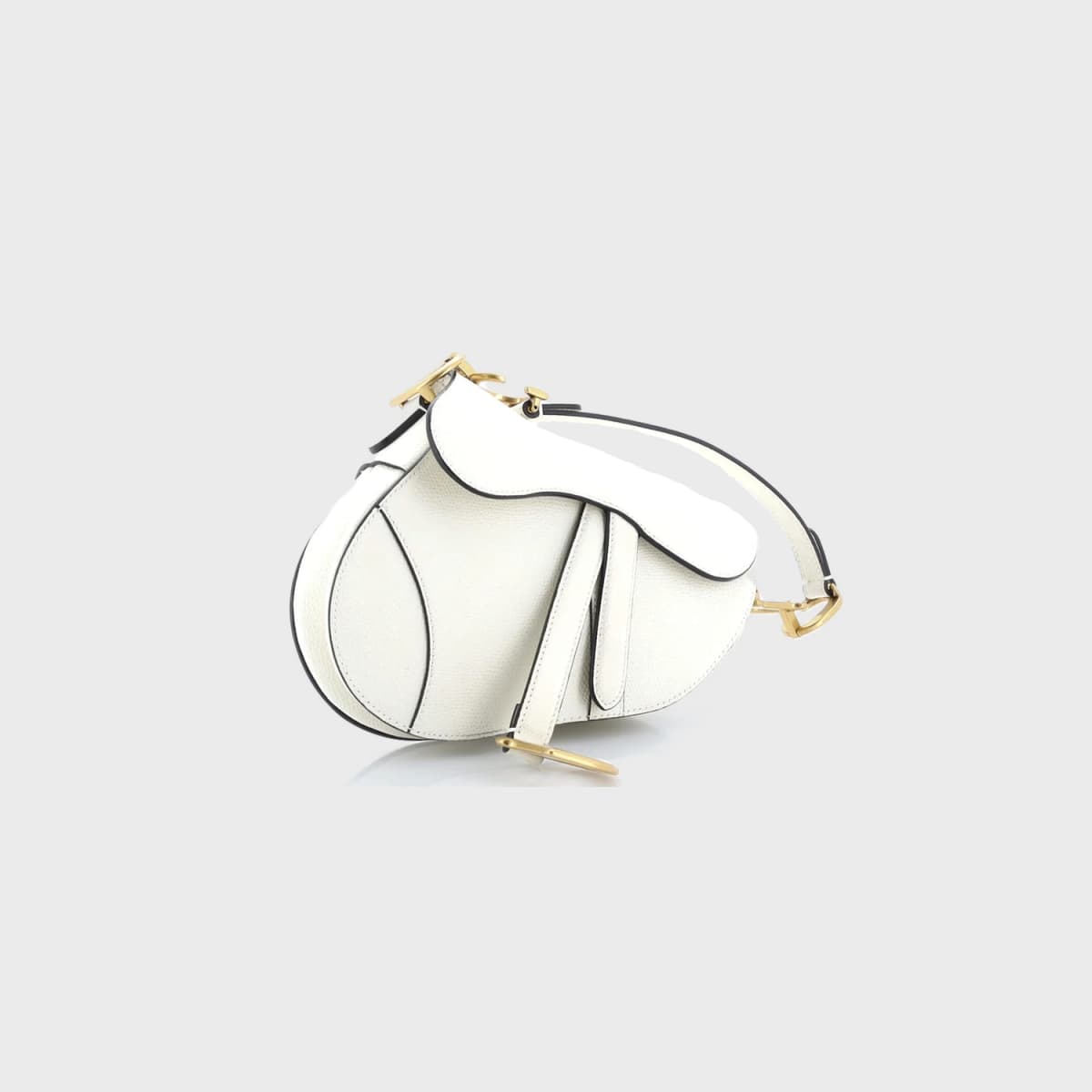 Christian Dior Saddle Mini