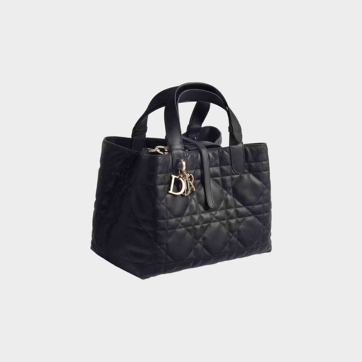 Christian Dior Toujours